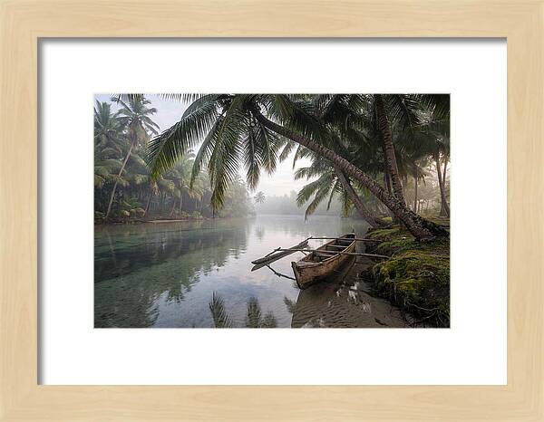 Tropical Serenity At Dawn