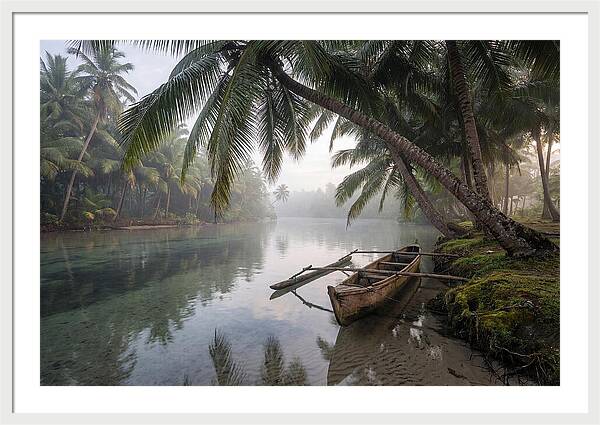 Tropical Serenity At Dawn