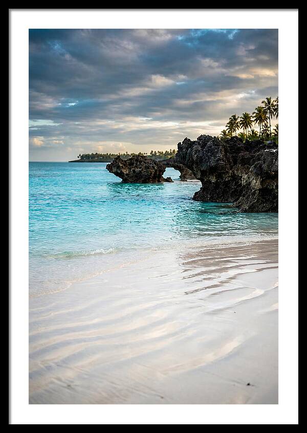 Tropical Serenity By The Sea