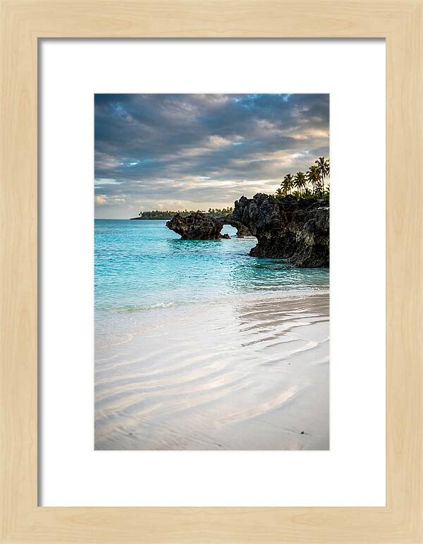 Tropical Serenity By The Sea