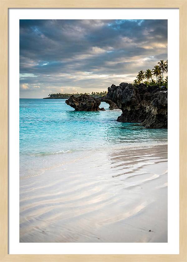 Tropical Serenity By The Sea