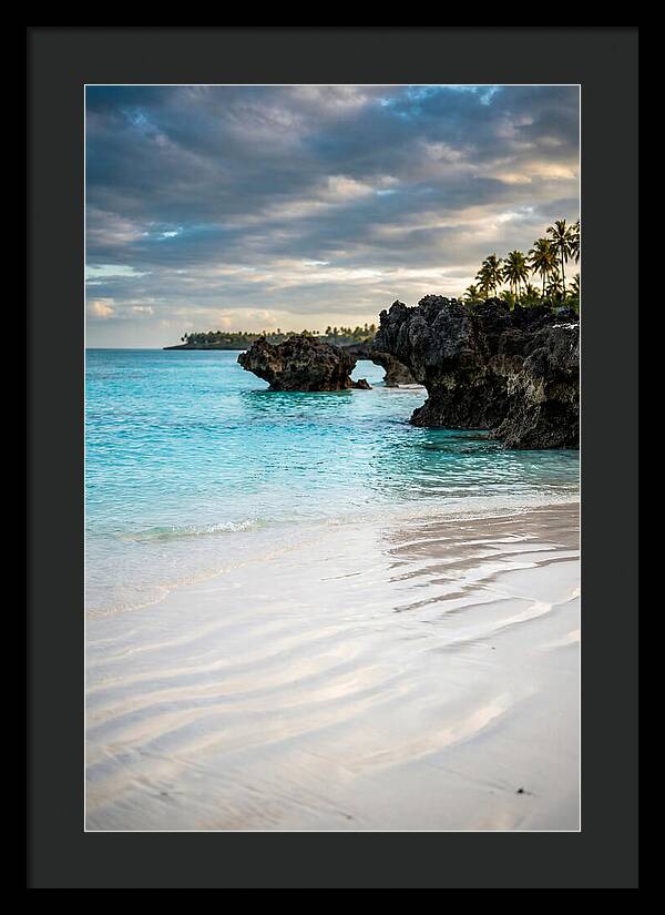 Tropical Serenity By The Sea