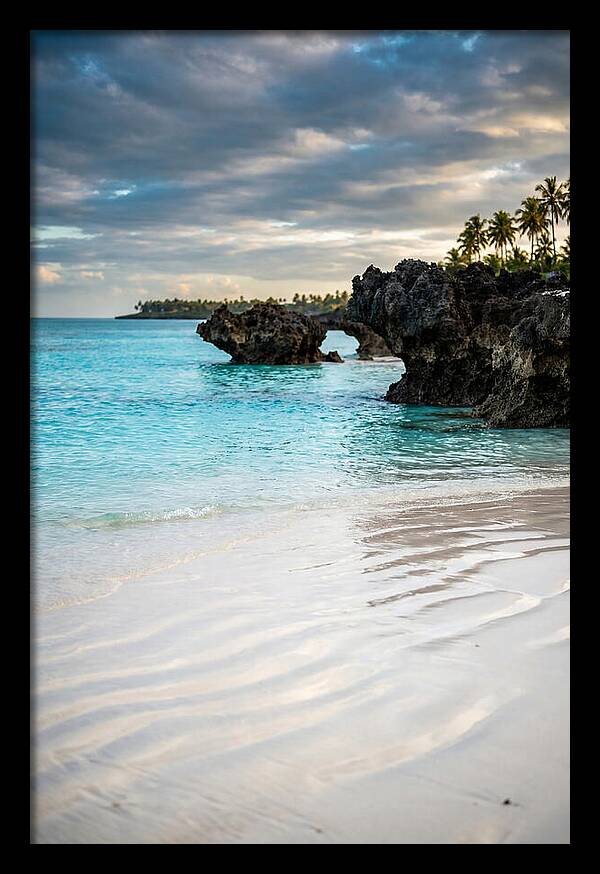 Tropical Serenity By The Sea