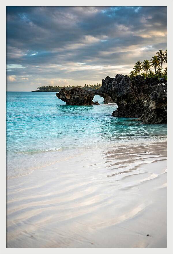 Tropical Serenity By The Sea