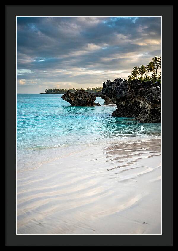 Tropical Serenity By The Sea
