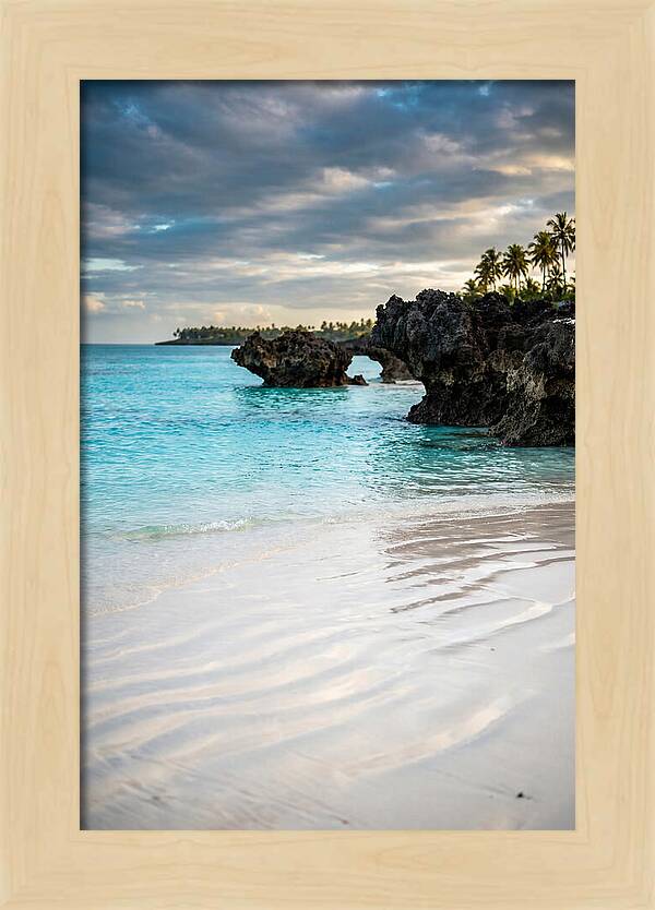 Tropical Serenity By The Sea
