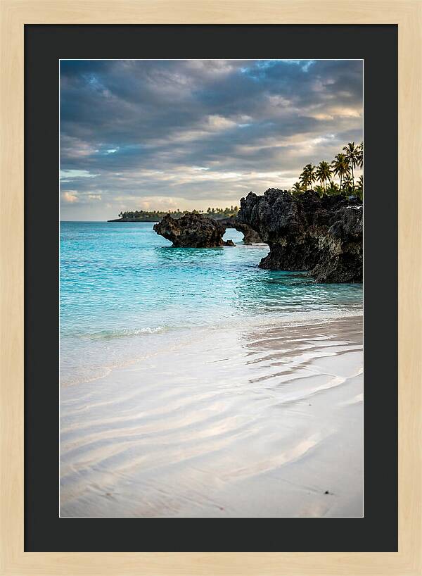 Tropical Serenity By The Sea