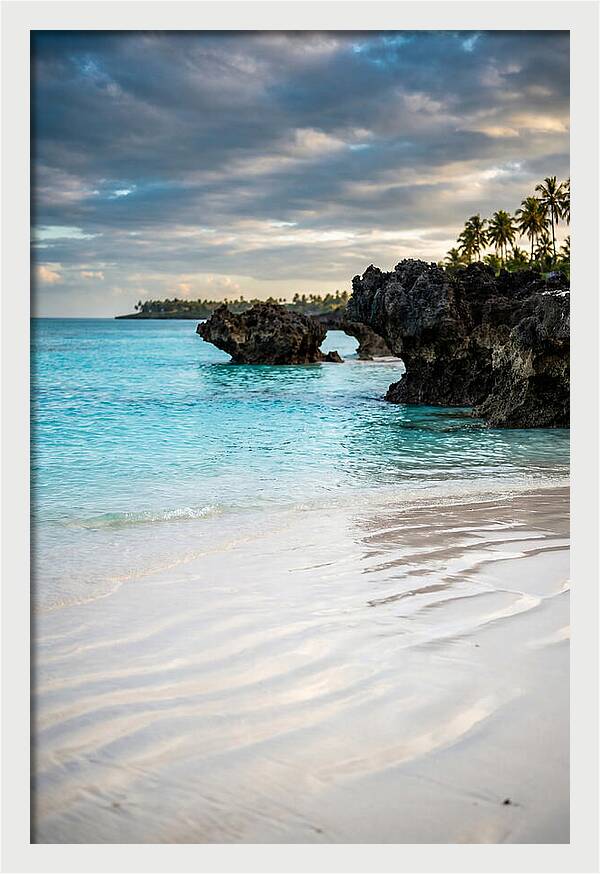 Tropical Serenity By The Sea