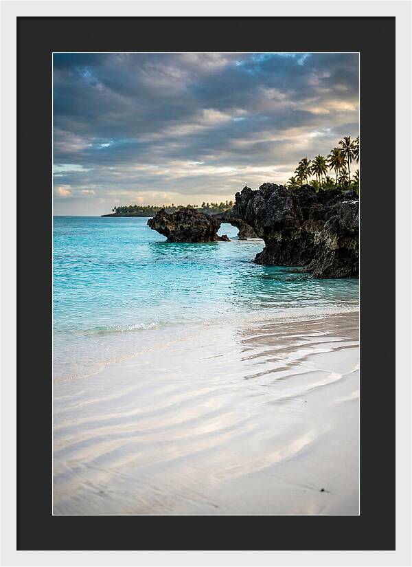 Tropical Serenity By The Sea