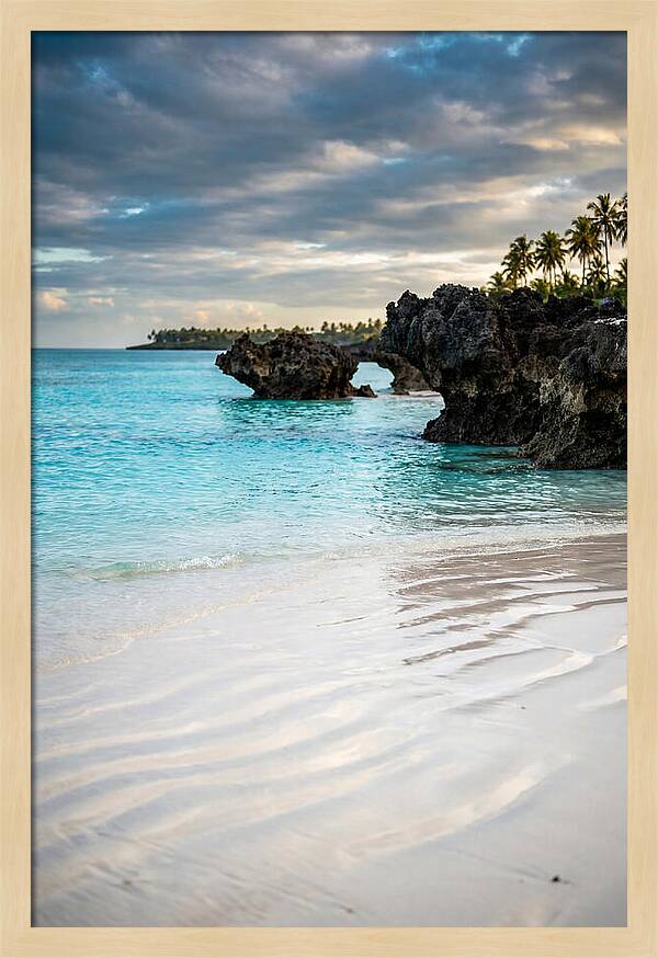 Tropical Serenity By The Sea