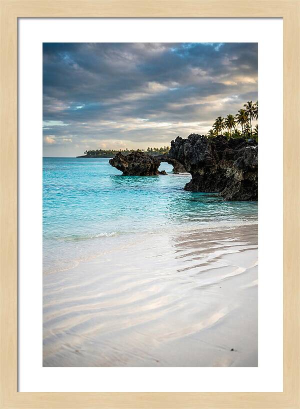 Tropical Serenity By The Sea