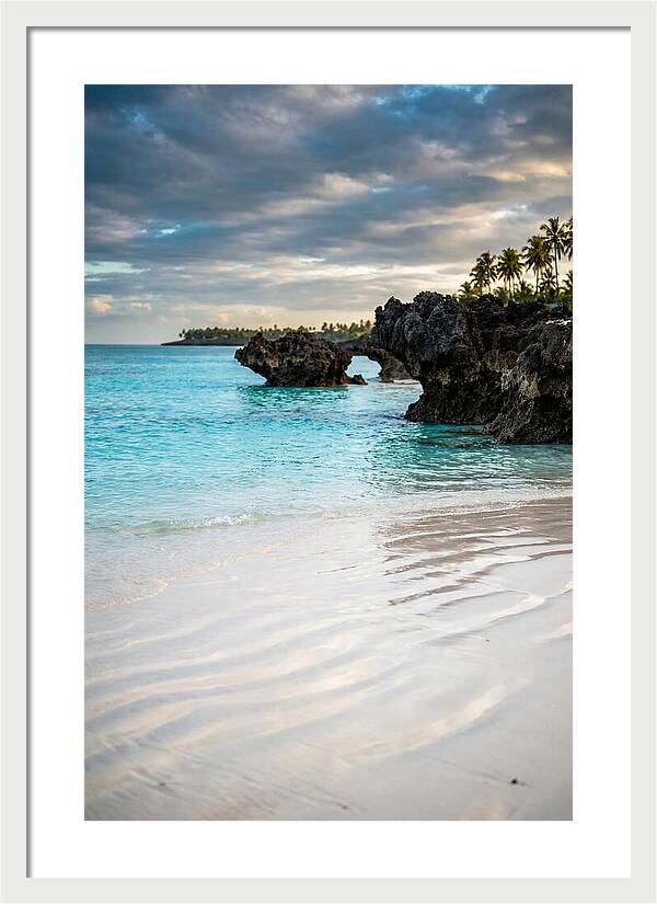 Tropical Serenity By The Sea