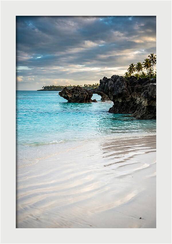 Tropical Serenity By The Sea
