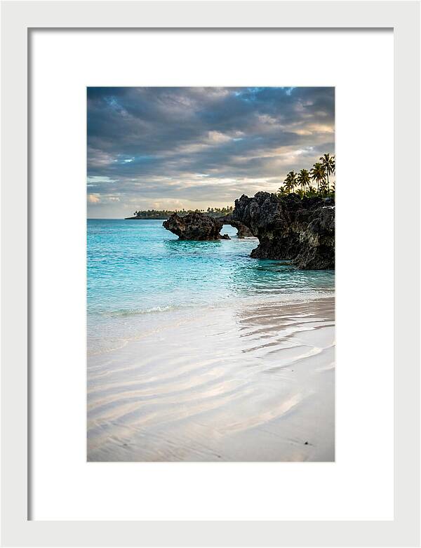 Tropical Serenity By The Sea