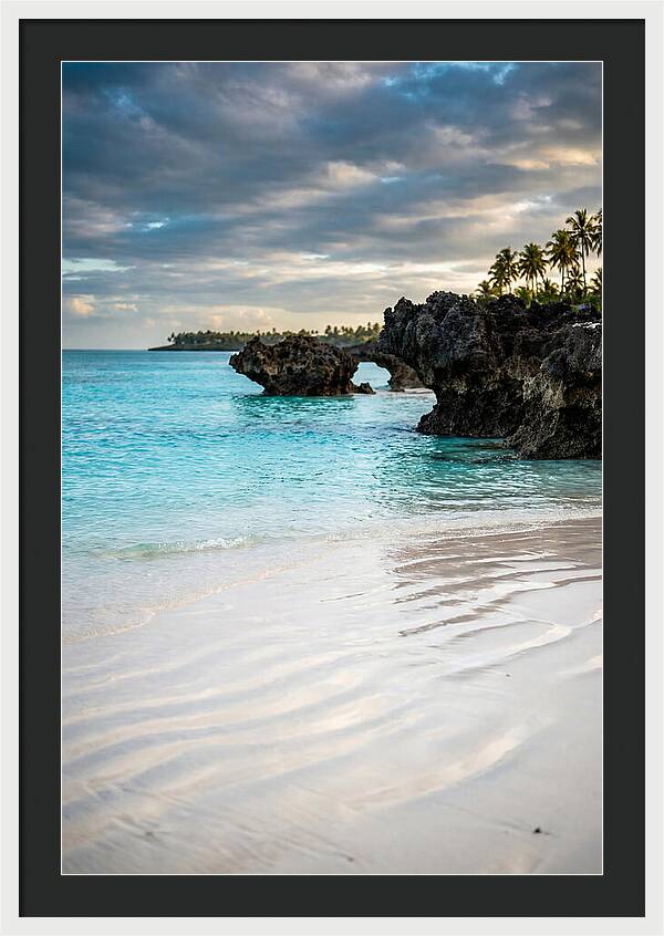 Tropical Serenity By The Sea