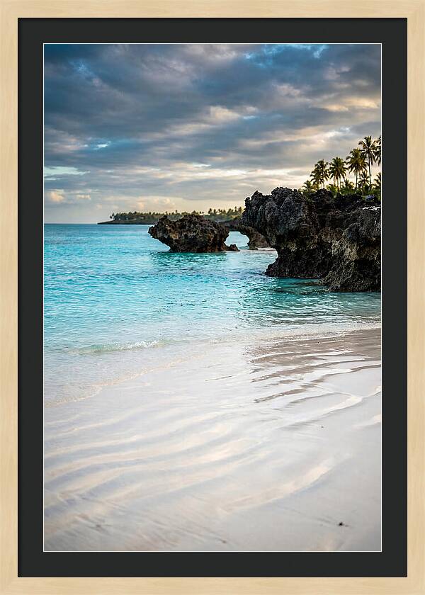 Tropical Serenity By The Sea