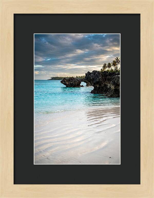 Tropical Serenity By The Sea