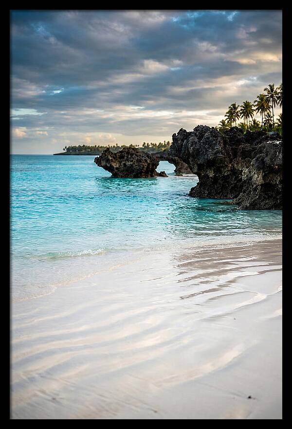 Tropical Serenity By The Sea