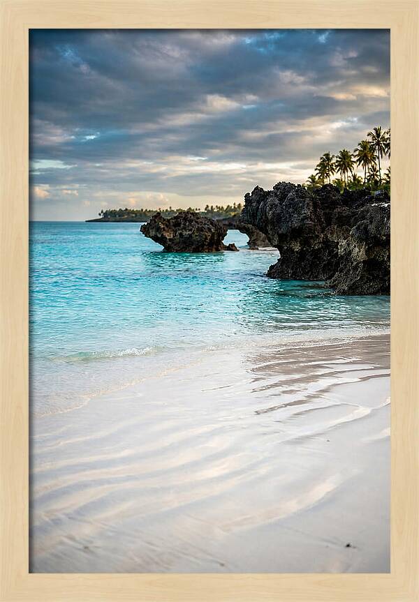 Tropical Serenity By The Sea