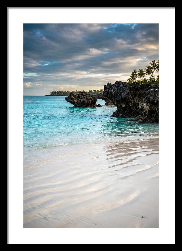 Tropical Serenity By The Sea