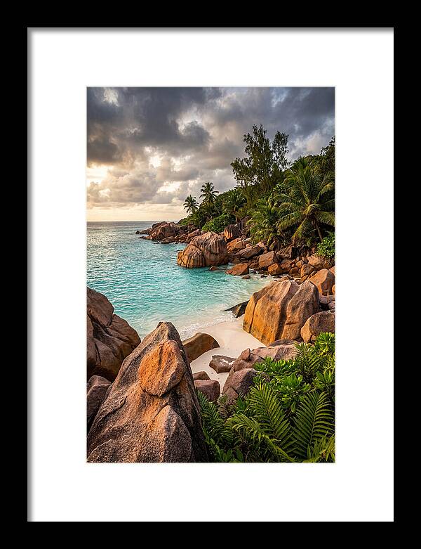Tropical Serenity By The Shore