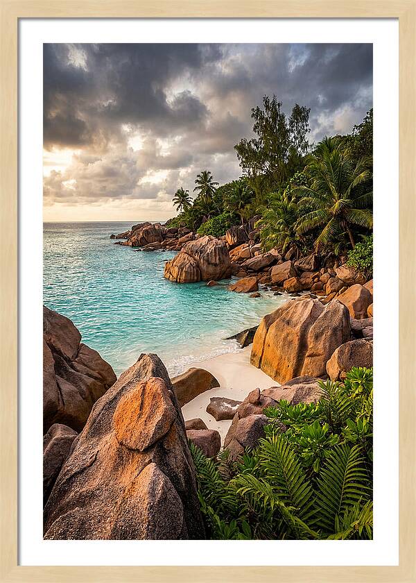 Tropical Serenity By The Shore