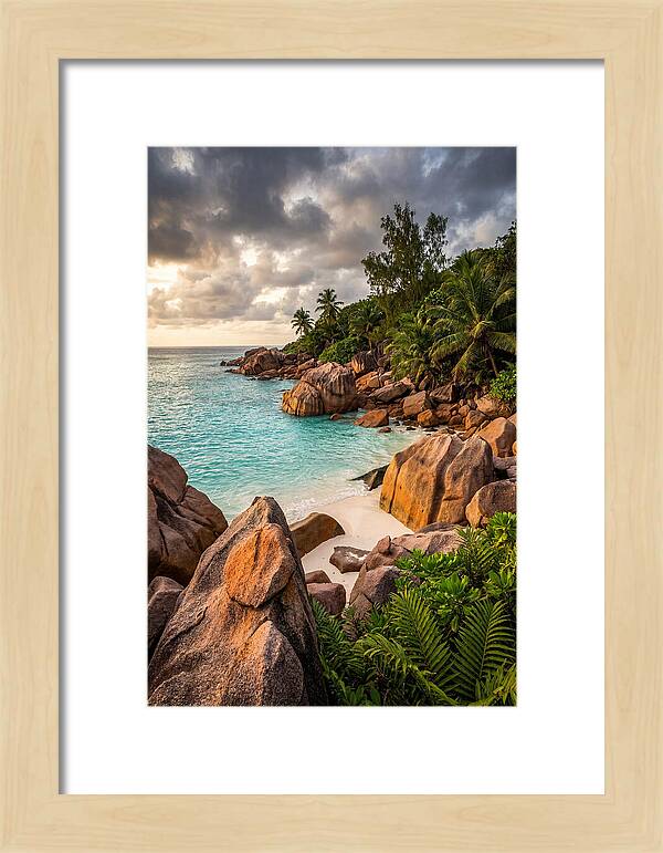 Tropical Serenity By The Shore