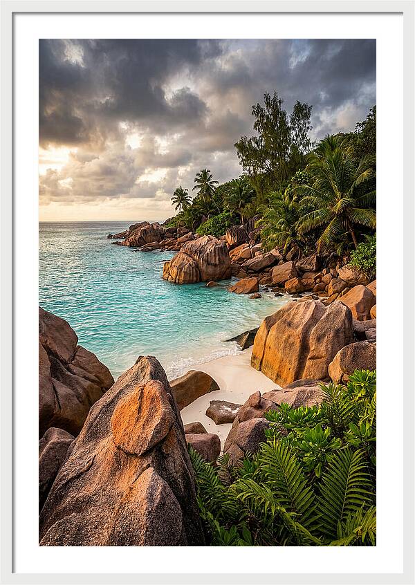 Tropical Serenity By The Shore