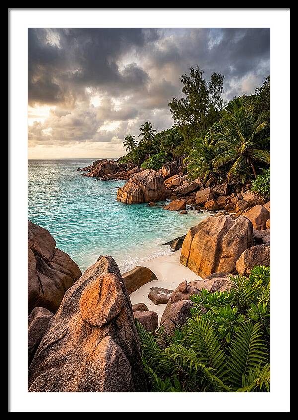 Tropical Serenity By The Shore