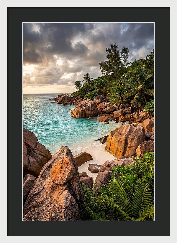 Tropical Serenity By The Shore