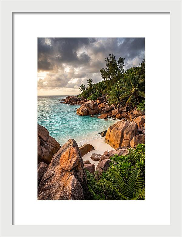 Tropical Serenity By The Shore
