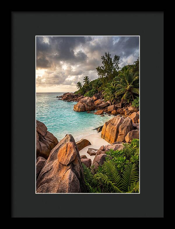 Tropical Serenity By The Shore