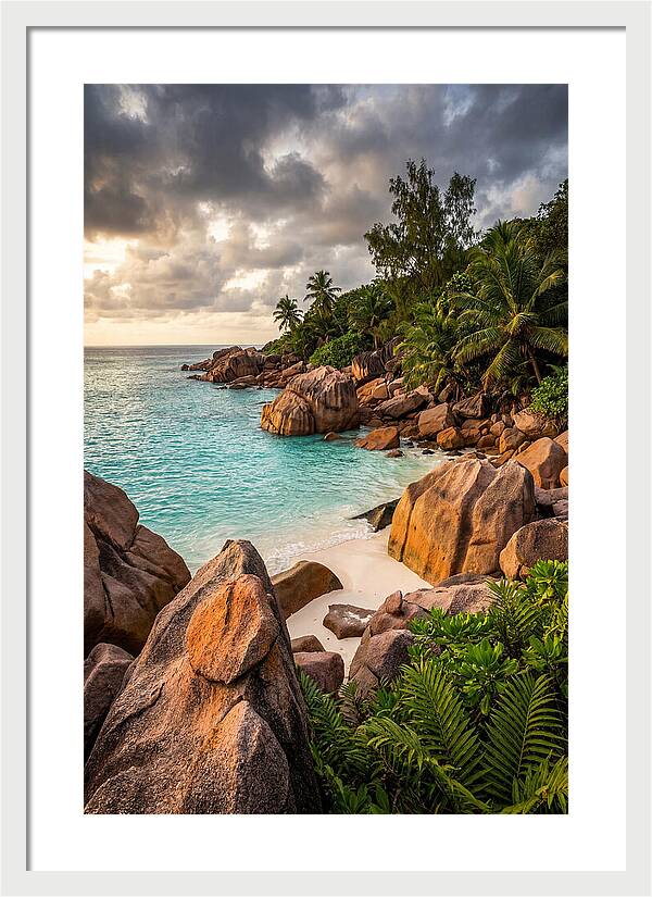 Tropical Serenity By The Shore