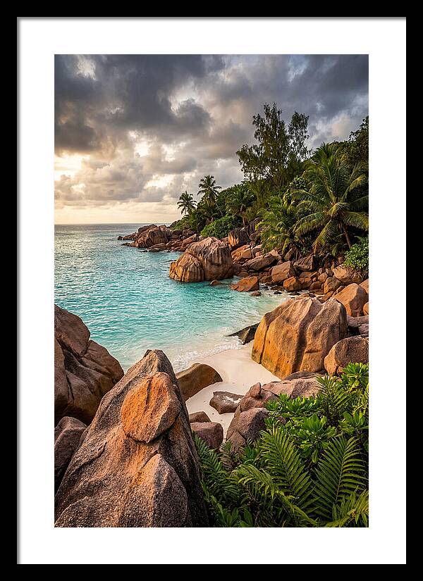 Tropical Serenity By The Shore