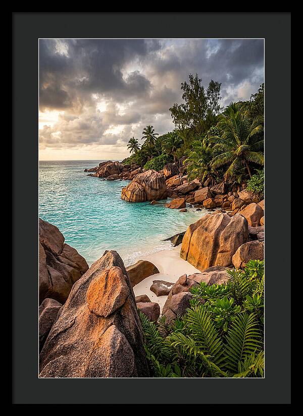 Tropical Serenity By The Shore