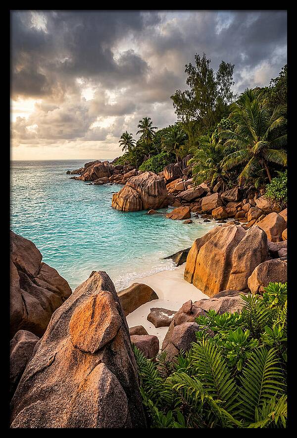 Tropical Serenity By The Shore