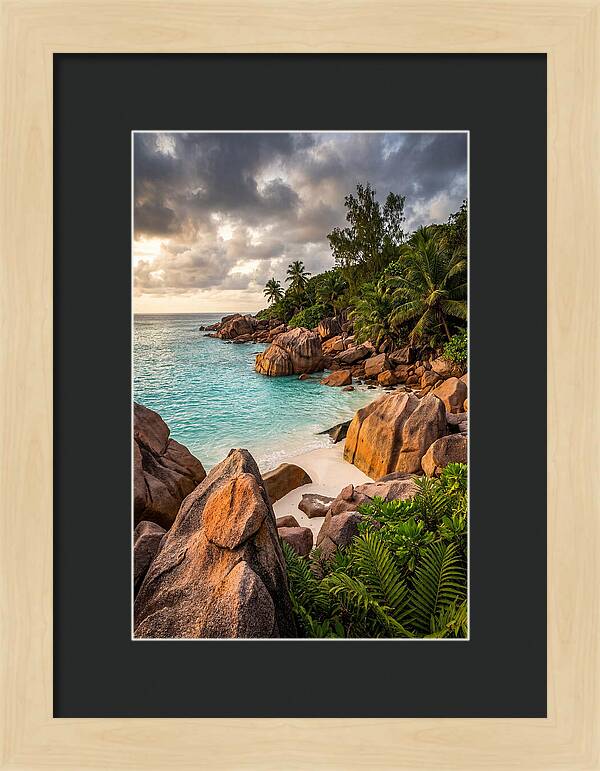 Tropical Serenity By The Shore