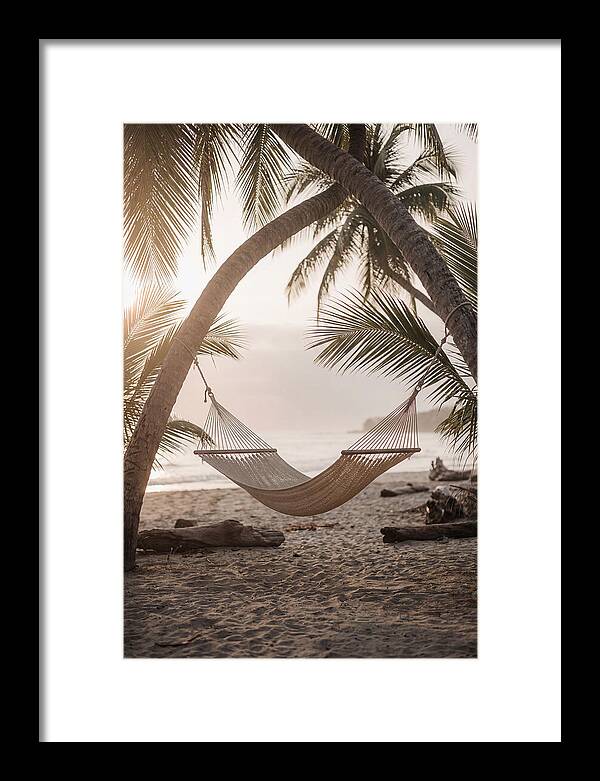 Tropical Serenity In A Hammock