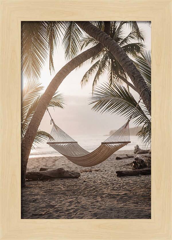 Tropical Serenity In A Hammock