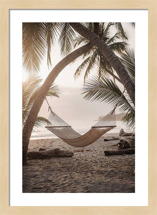 Tropical Serenity In A Hammock