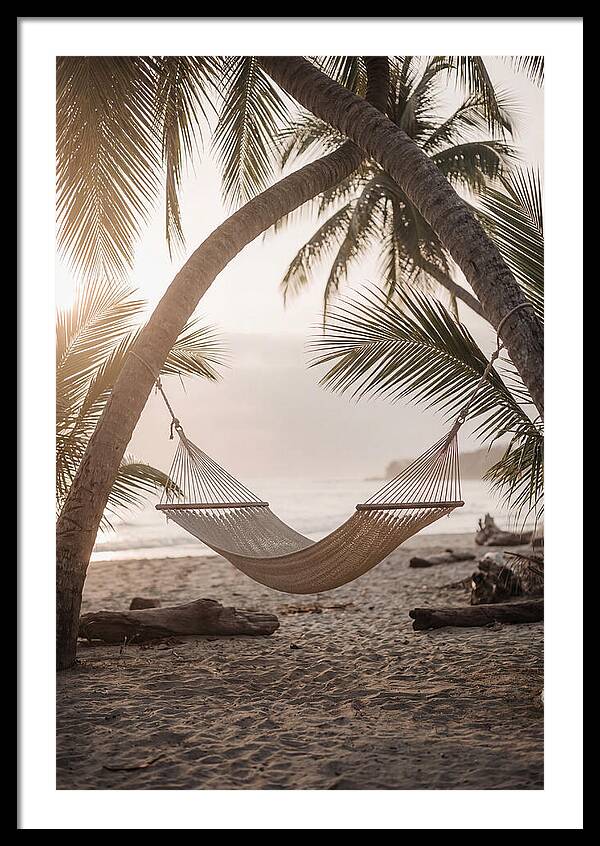 Tropical Serenity In A Hammock