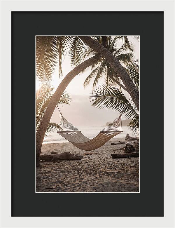 Tropical Serenity In A Hammock