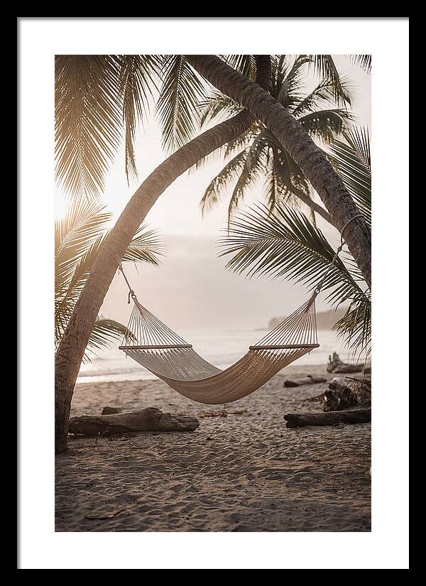 Tropical Serenity In A Hammock