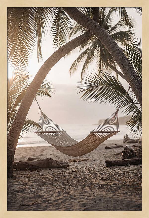 Tropical Serenity In A Hammock