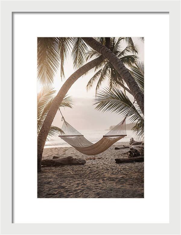Tropical Serenity In A Hammock