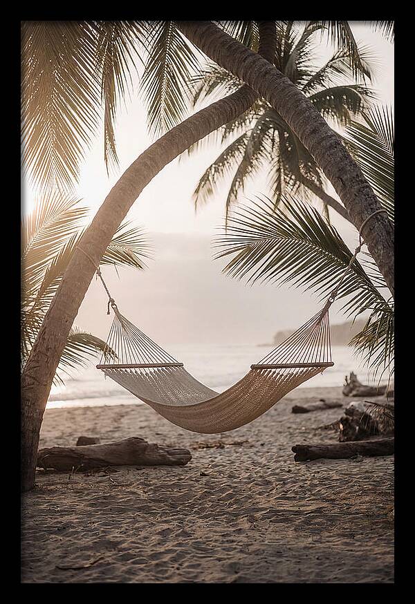 Tropical Serenity In A Hammock