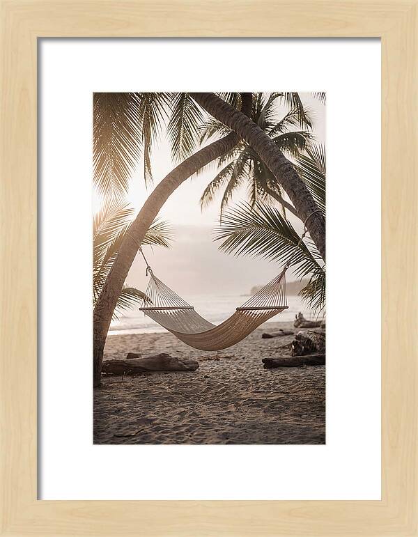 Tropical Serenity In A Hammock