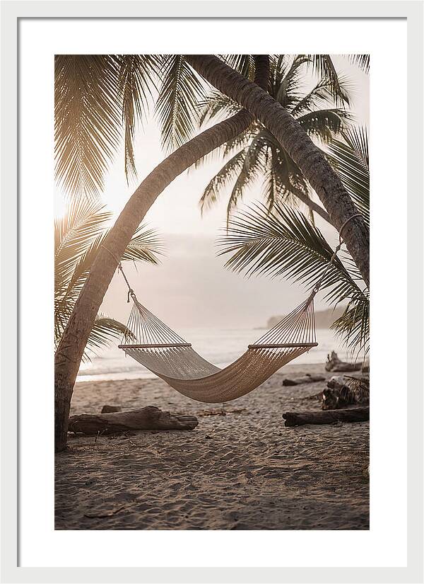 Tropical Serenity In A Hammock