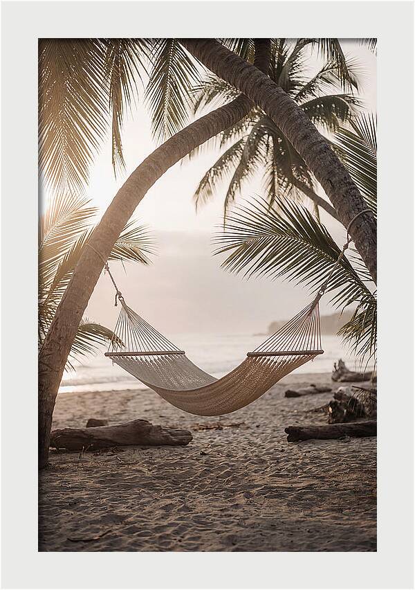 Tropical Serenity In A Hammock