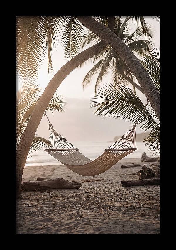 Tropical Serenity In A Hammock